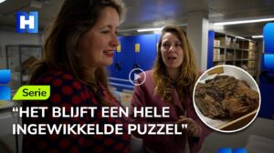 De Geheimen van het Palmhoutwrak #6: Wat vertellen de tapijten?