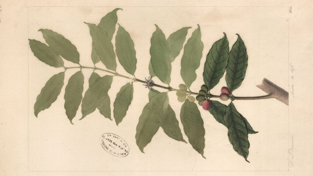 Nachtcolleges in de Hortus Amsterdam