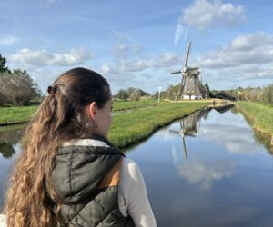 Het Naardermeer laat zich niet temmen
